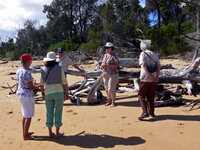 Am Strand von Silverleafs