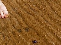 Am Strand von Silverleafs