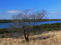 Am Rhyll Inlet