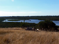 Am Rhyll Inlet
