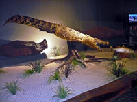 Hotel Gagadju Crocodile Holiday Inn