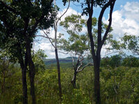 Zweiter Tag im Kakadu-Nationalpark