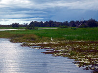 Auf der Yellow Water Tour