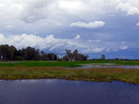 Auf der Yellow Water Tour