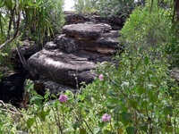 Ankunft in Ubirr