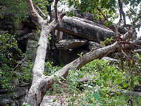 Ankunft in Ubirr