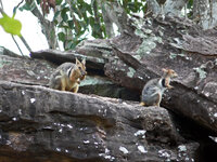 Ankunft in Ubirr