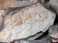 Die schönen Felszeichnungen von Ubirr