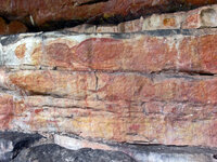 Die schönen Felszeichnungen von Ubirr