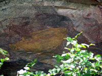 Die schönen Felszeichnungen von Ubirr