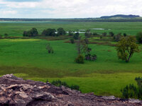 Blick von einem Aussichtspunkt bei Ubirr