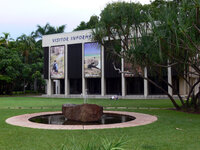 Darwin