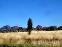 Kata Tjuta - Die Olgas