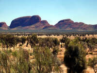 Kata Tjuta - Die Olgas