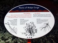 In der Walpa Gorge