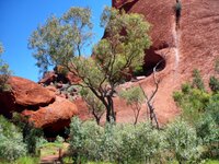 Am Uluru - Ayers Rock
