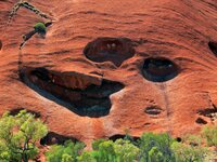 Am Uluru - Ayers Rock