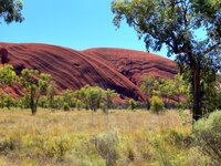 Am Uluru - Ayers Rock