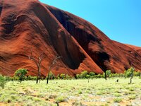 Am Uluru - Ayers Rock