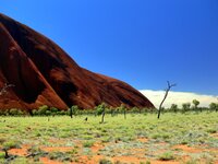 Am Uluru - Ayers Rock