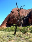 Am Uluru - Ayers Rock