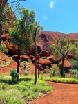 Am Uluru - Ayers Rock