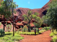 Am Uluru - Ayers Rock