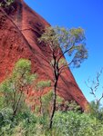Am Uluru - Ayers Rock