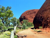 Am Uluru - Ayers Rock