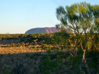 Sonnenuntergang am Uluru