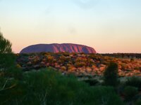 Sonnenuntergang am Uluru