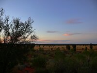 Abendstimmung im Outback