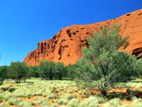 Auf dem Base Walk einmal um den Uluru