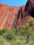 Auf dem Base Walk einmal um den Uluru