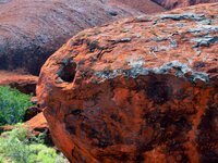 Auf dem Base Walk einmal um den Uluru