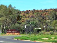 Botanischer Garten in Alice Springs