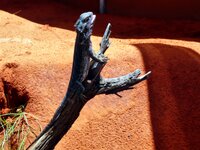 Im Reptilienzoo