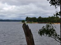 Am Lake Tinaroo