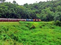 Auf der Zugfahrt nach Kuranda
