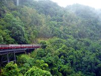 Auf der Zugfahrt nach Kuranda