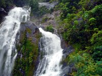 Auf der Zugfahrt nach Kuranda