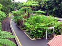 In Kuranda