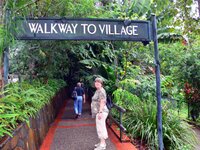 In Kuranda