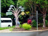 In Kuranda