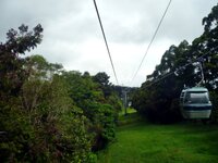 Mit der Skyrail zurück