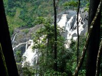 Barron Falls von der Skyrail-Seite