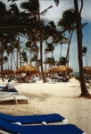 DomRep_22_1000.jpg