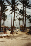 DomRep_23_1000.jpg