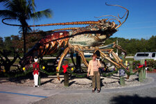 FL_Keys_05_1000.jpg