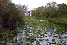 FL_Everglades_25_1000.jpg